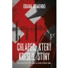 E-book elektronické knihy – Hledejceny.cz